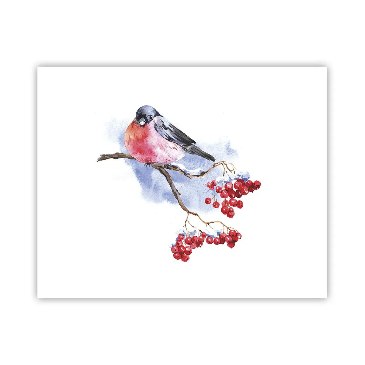 Poster - Winter in Colour - 50x40 cm