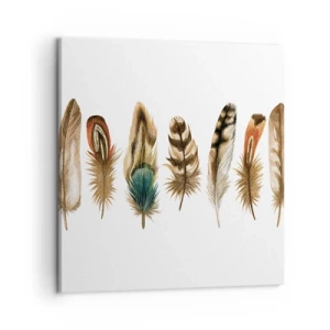 Canvas picture - Feather Variation - 60x60 cm