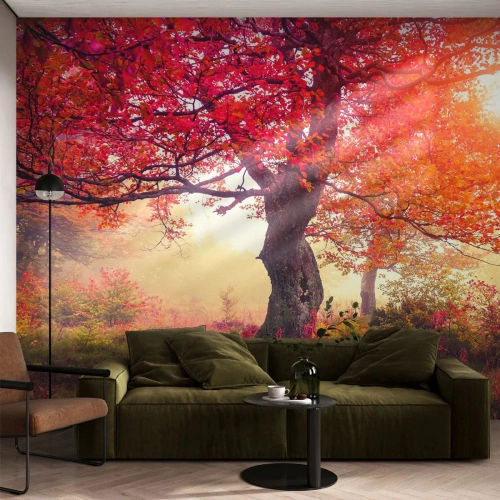 Self-Adhesive Photo Wallpaper Deluxe Sticker - In Full Bloom - Landscape, Park, Flowers - 250x175 cm