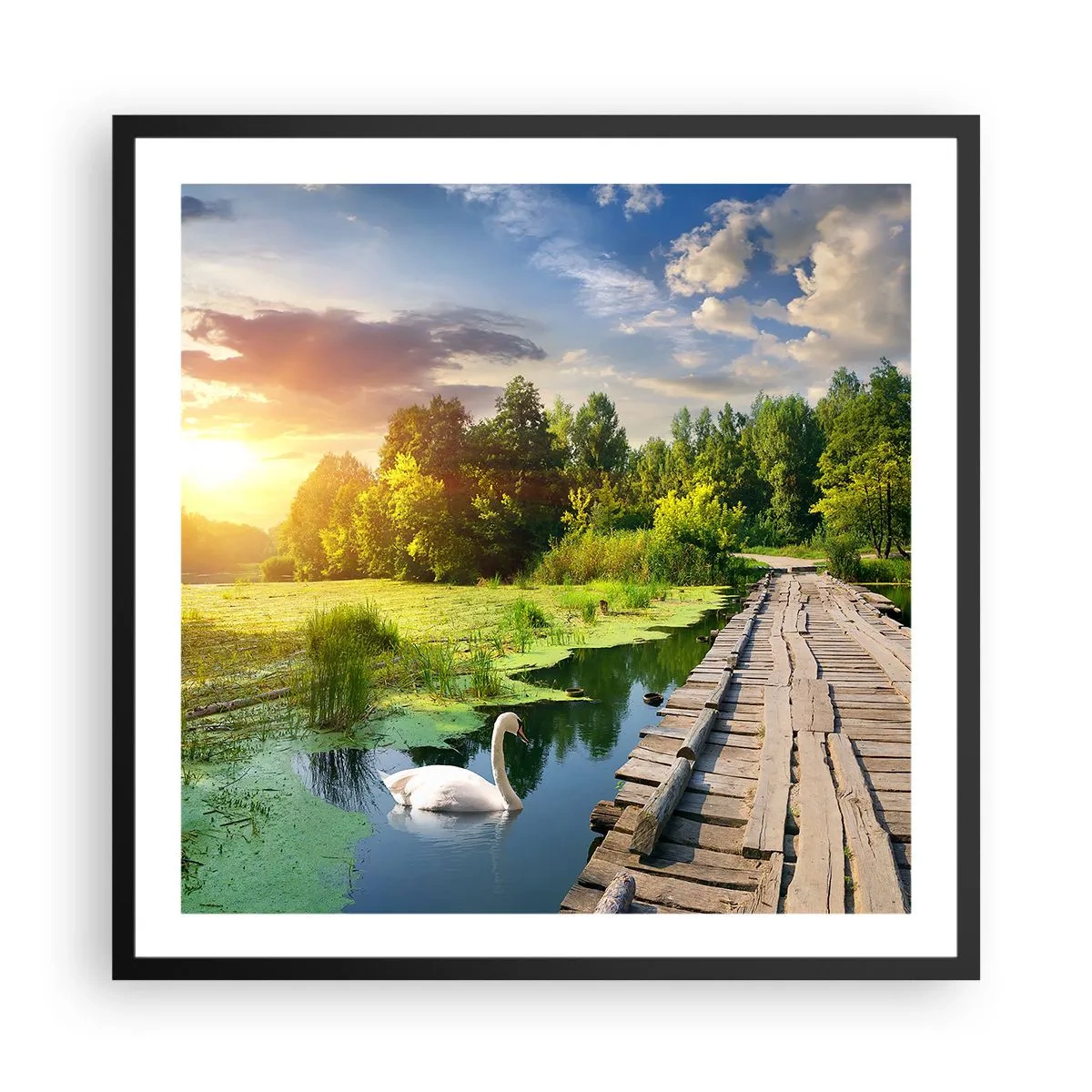 Poster in black frame - Summer Everywhere - 60x60 cm