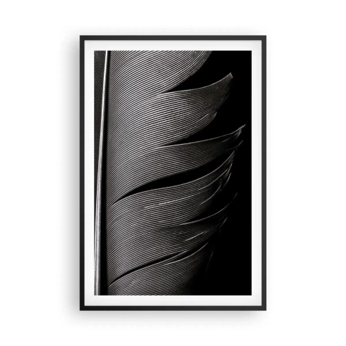 Poster in black frame - Feather - Wonderful Constract - 61x91 cm
