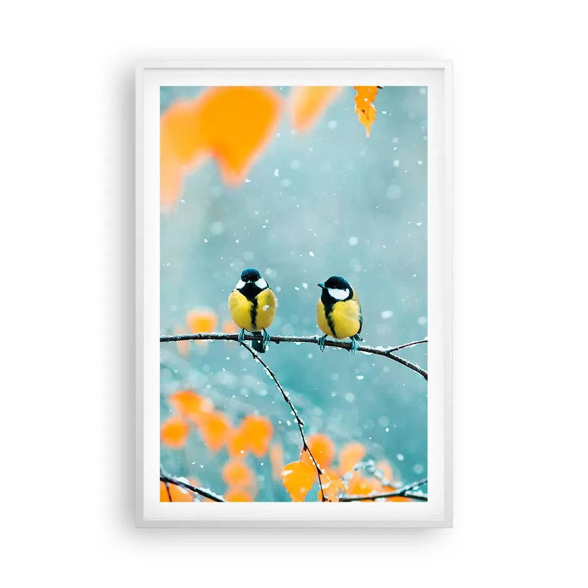 Poster in white frmae - Birdy Gossip - 61x91 cm