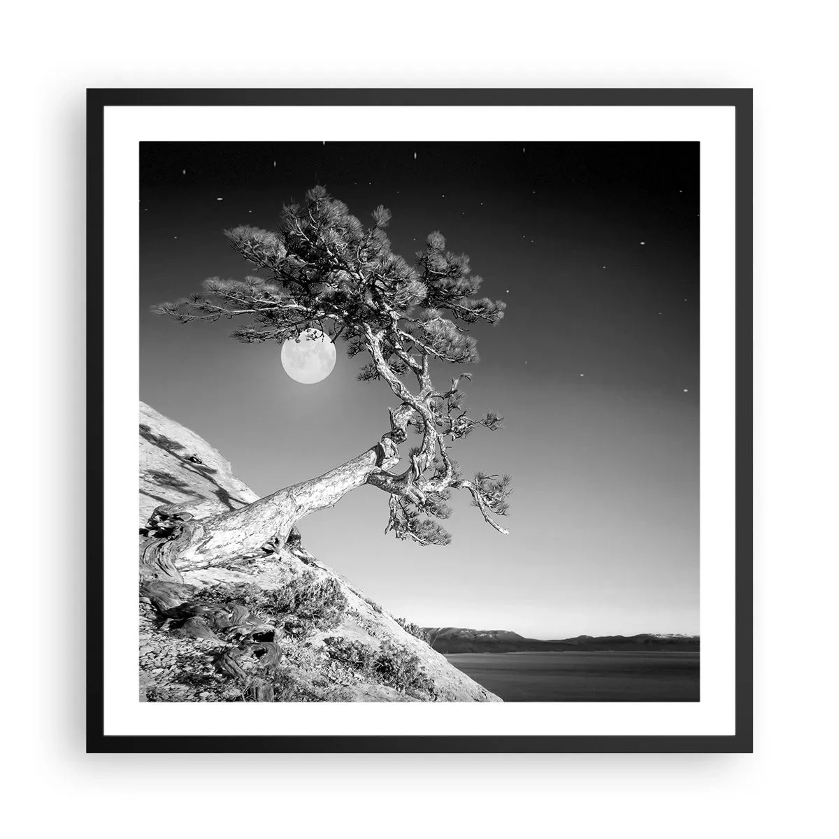 Poster in black frame - Winning Warrior - 60x60 cm