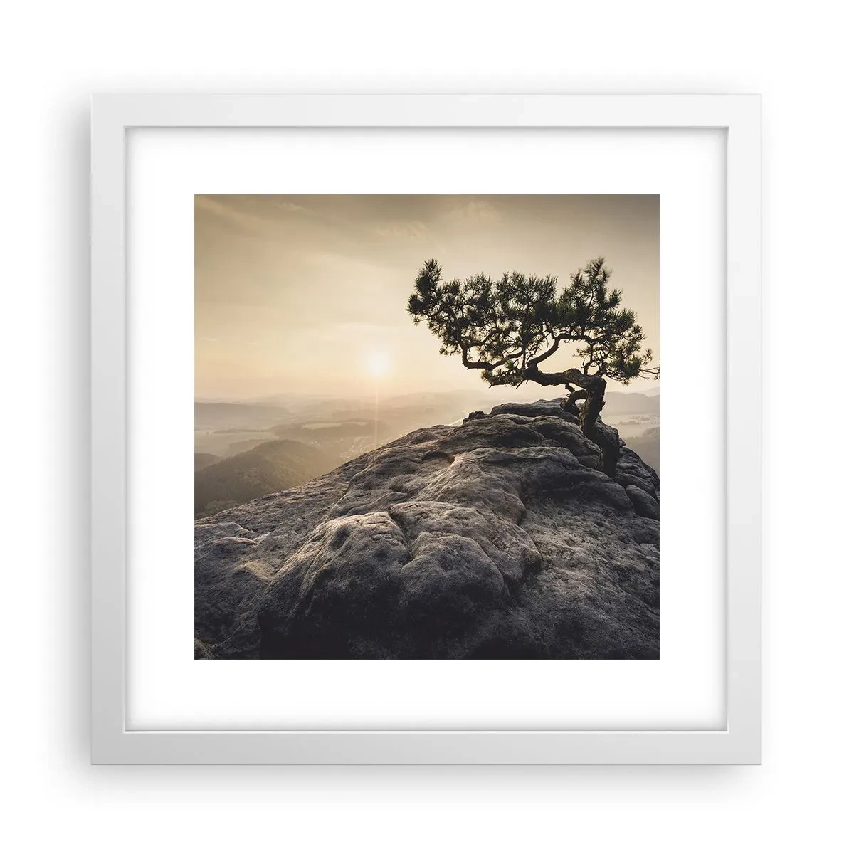 Poster in white frmae - Life Always Wins - 30x30 cm