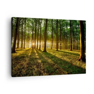 Canvas picture - The setting sun in the deciduous forest - 70x50cm - Photography of All Springs - Modern wall decoration for the living room and bedroom ARTTOR
