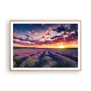 Poster in light oak frame - Lavender World - 100x70 cm