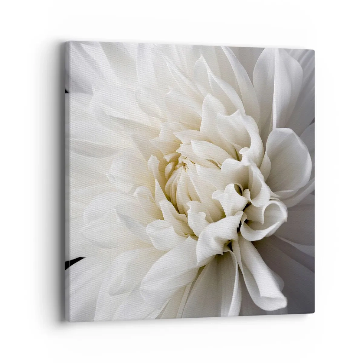 Canvas picture - Bride's Morning - 40x40 cm