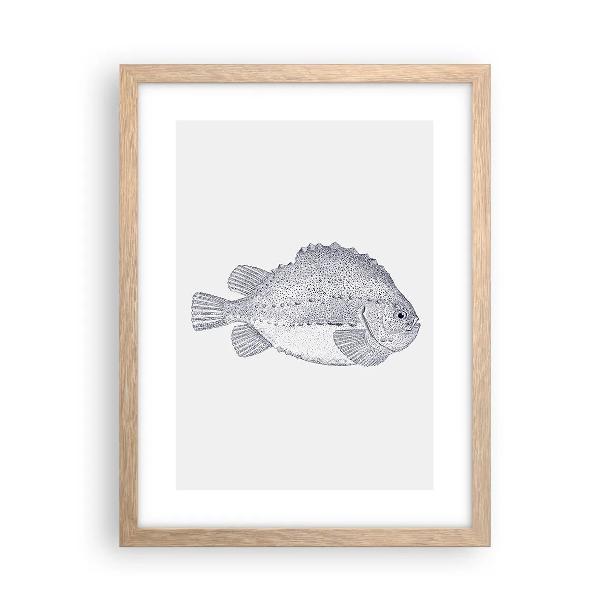 Poster in light oak frame - For Natural Scientist's Album - 30x40 cm