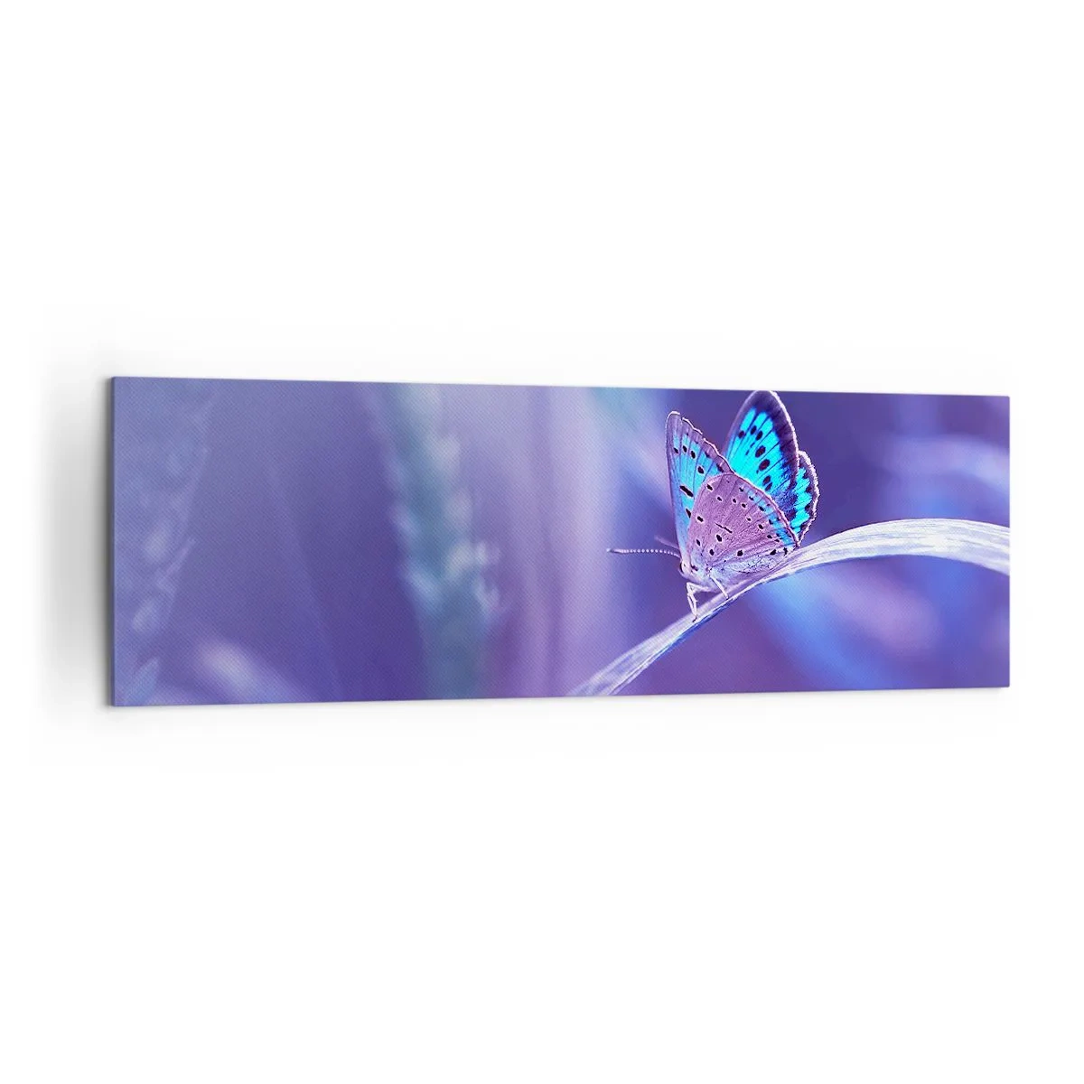 Canvas picture - Jewel of Nature - 160x50 cm