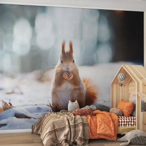 Photo Wallpaper Standard Eco - What Are You Looking at? - Animals, Squirrel, Winter - 300x210 cm