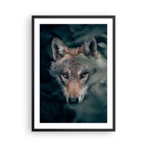 Poster in black frame - Portrait of a wolf in a mysterious forest setting - 50x70cm - Hunter - Modern wall decoration for the living room and bedroom ARTTOR