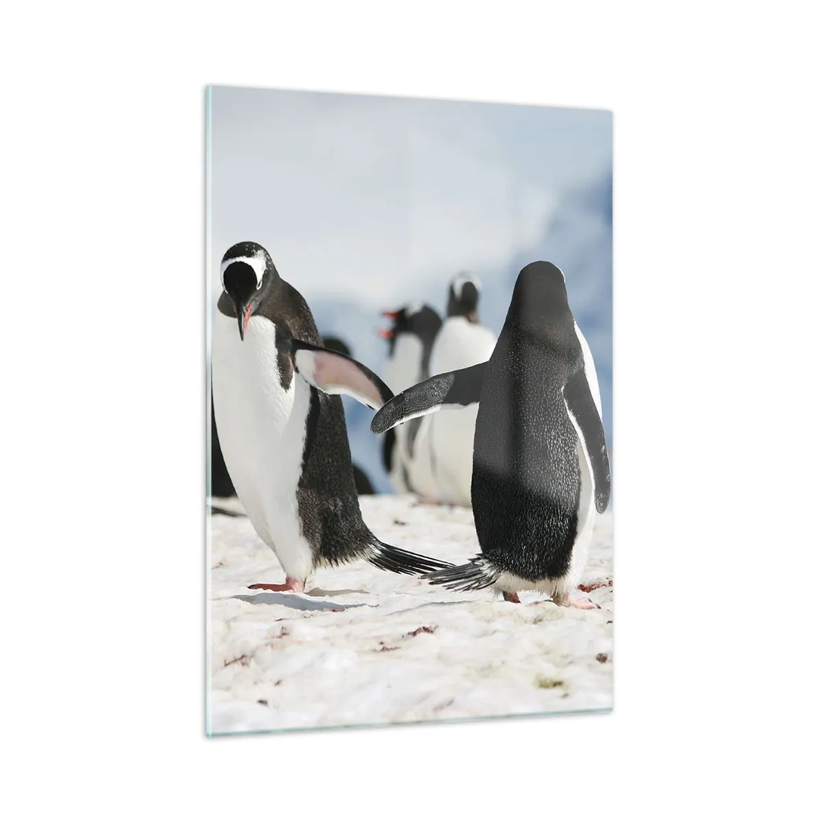 Glass picture - Dance in the Snow - 50x70 cm