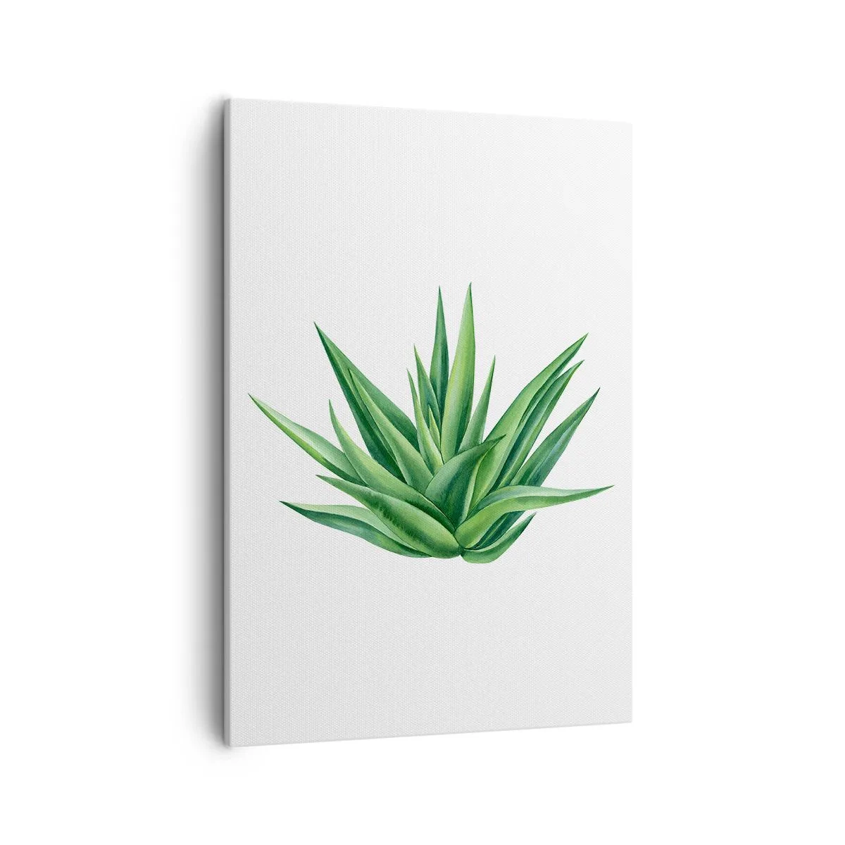Canvas picture - Green - Power - Life - 50x70 cm