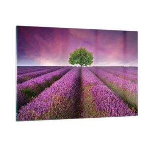 Glass picture - In the Fields of Lavender - 120x80 cm