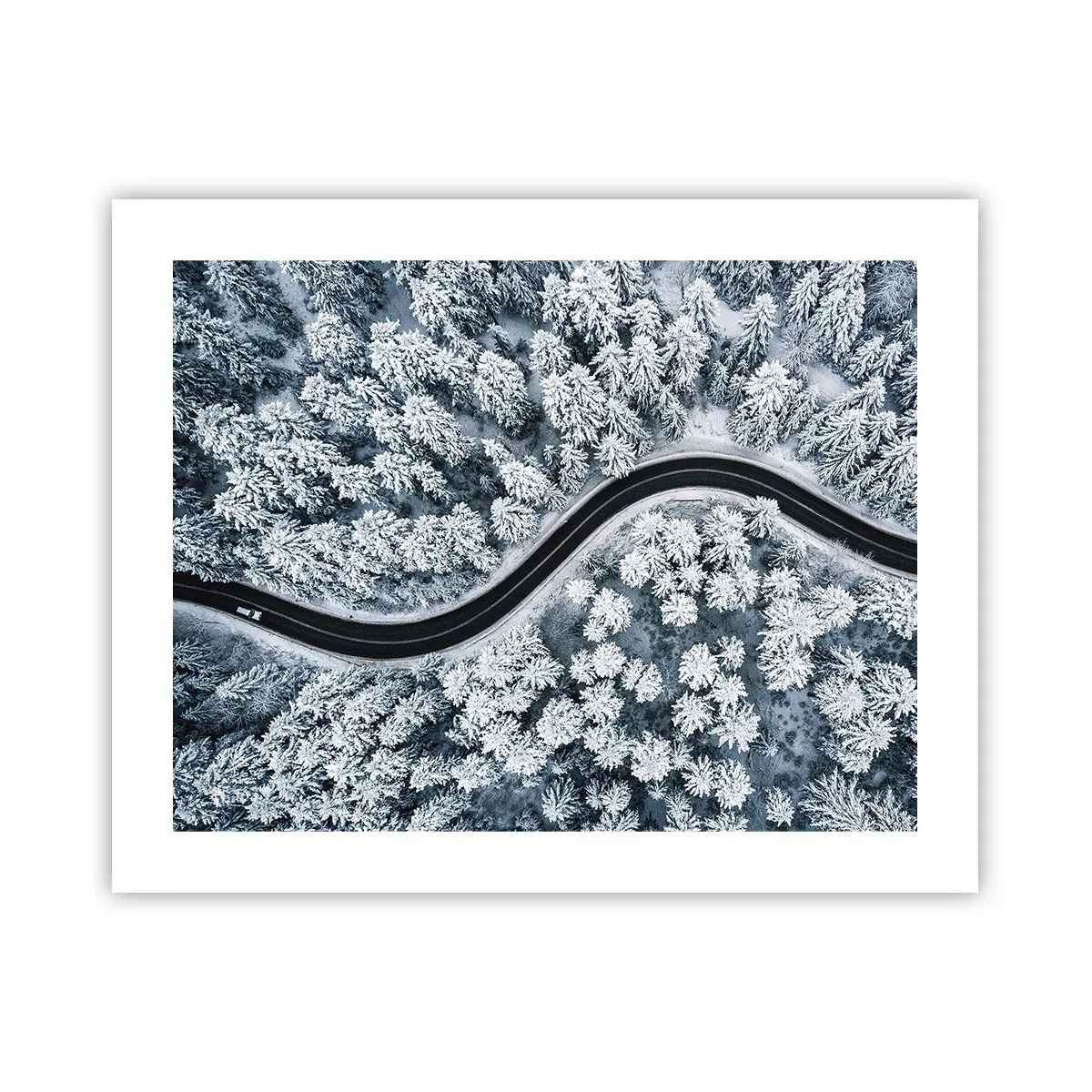Poster - Through Wintery Forest - 50x40 cm