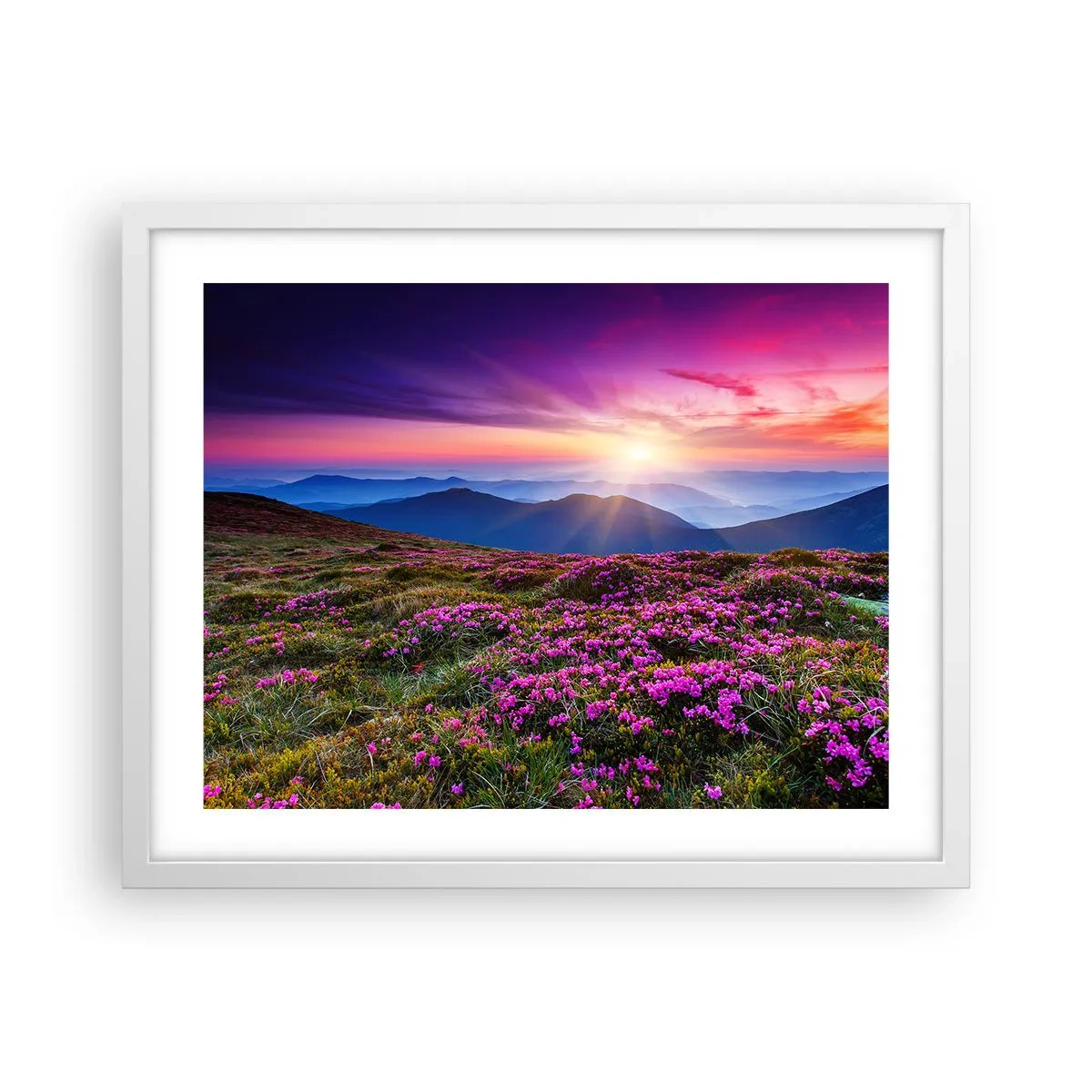 Poster in white frmae - Smells Strongly of Herbs - 50x40 cm