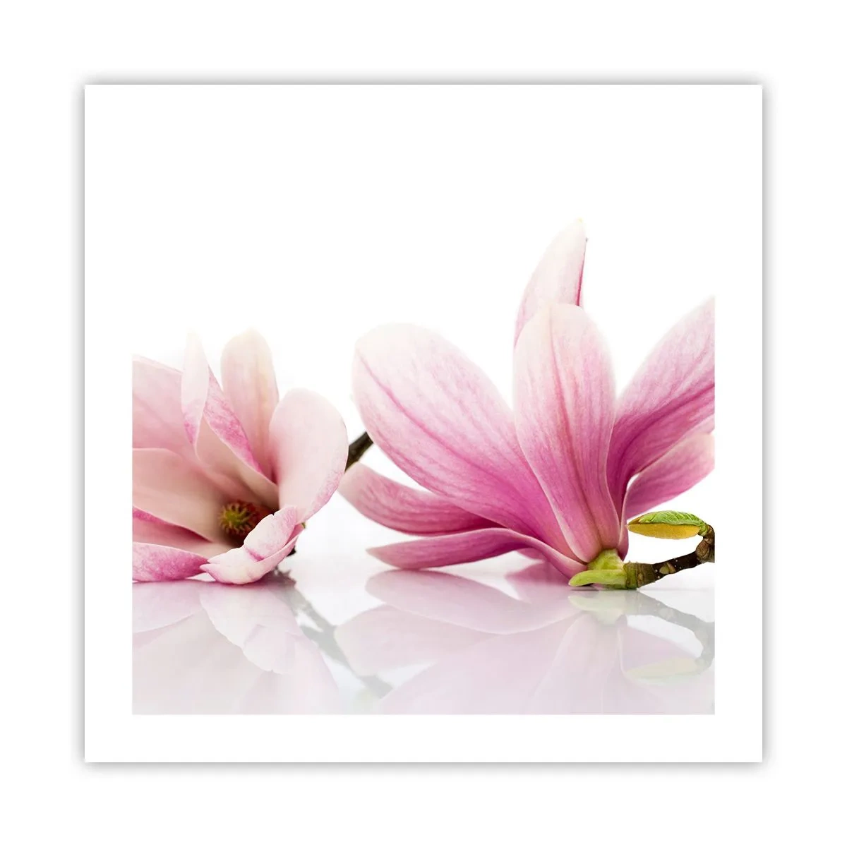 Poster - Delicate Like a Spring Breeze - 50x50 cm