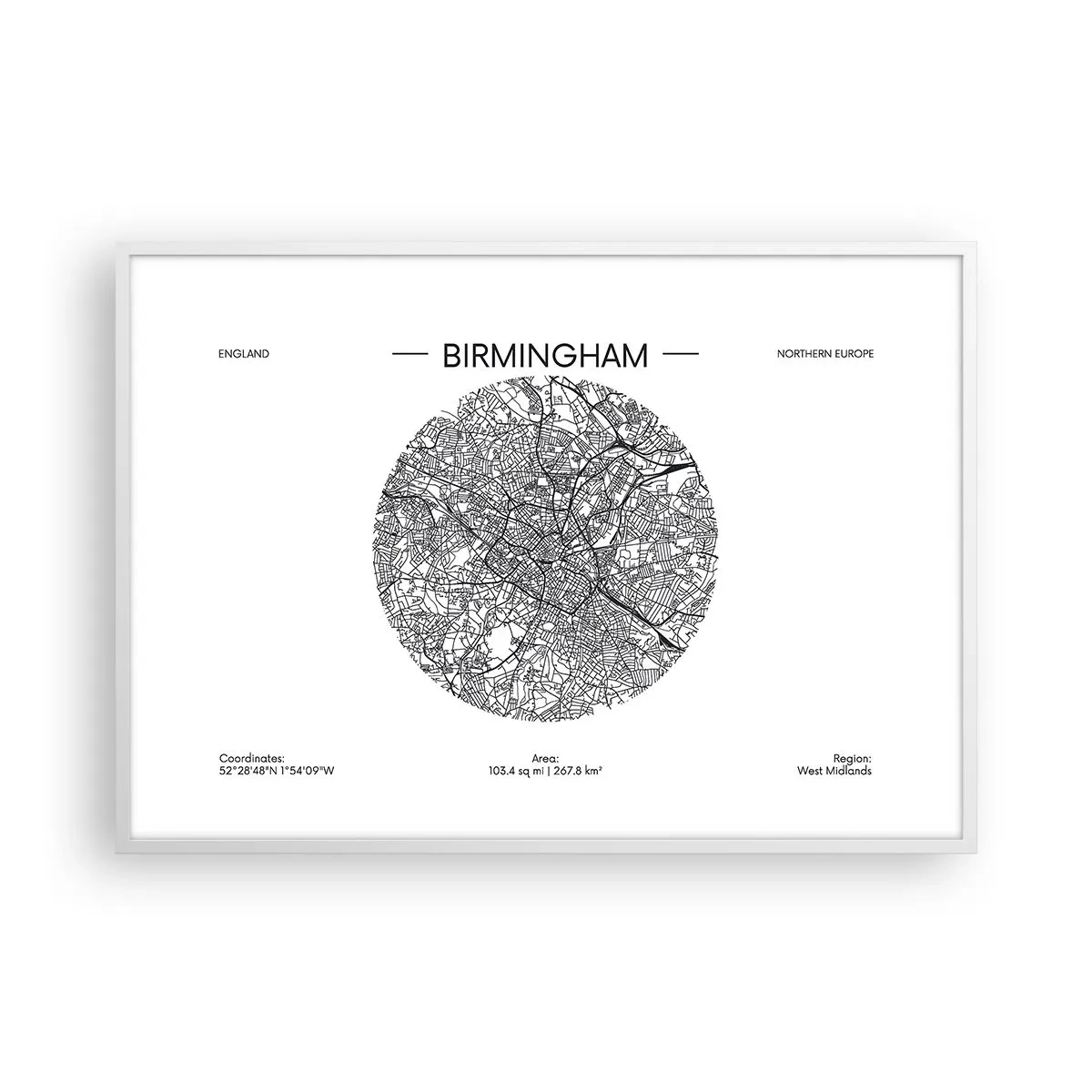 Poster in white frmae - Anatomy of Birmingham - 100x70 cm