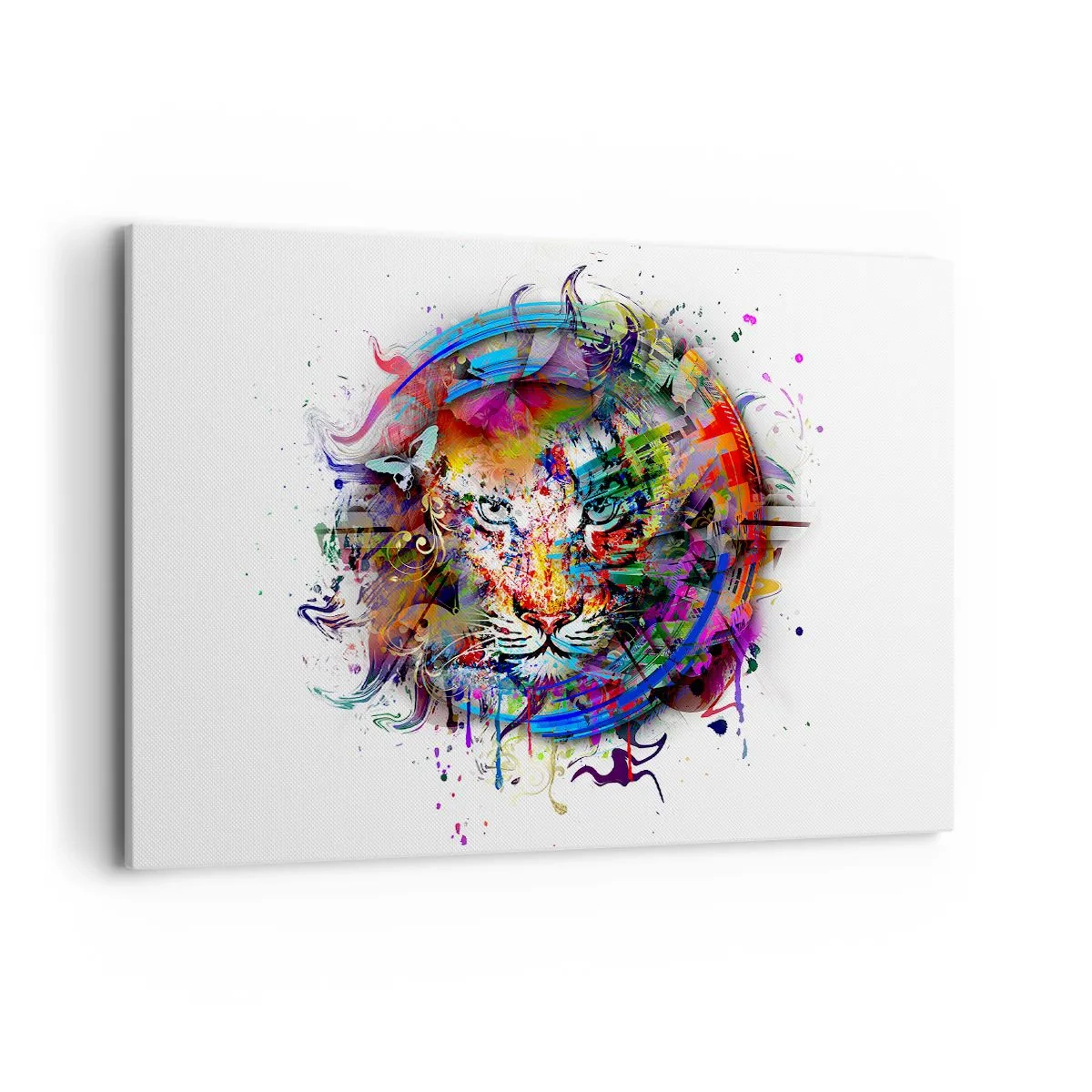 Canvas picture - Behind Rainbow Curtain - 100x70 cm