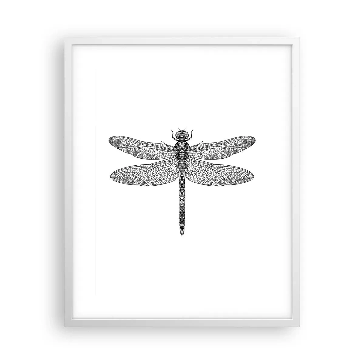 Poster in white frmae - Precision of Nature - 40x50 cm