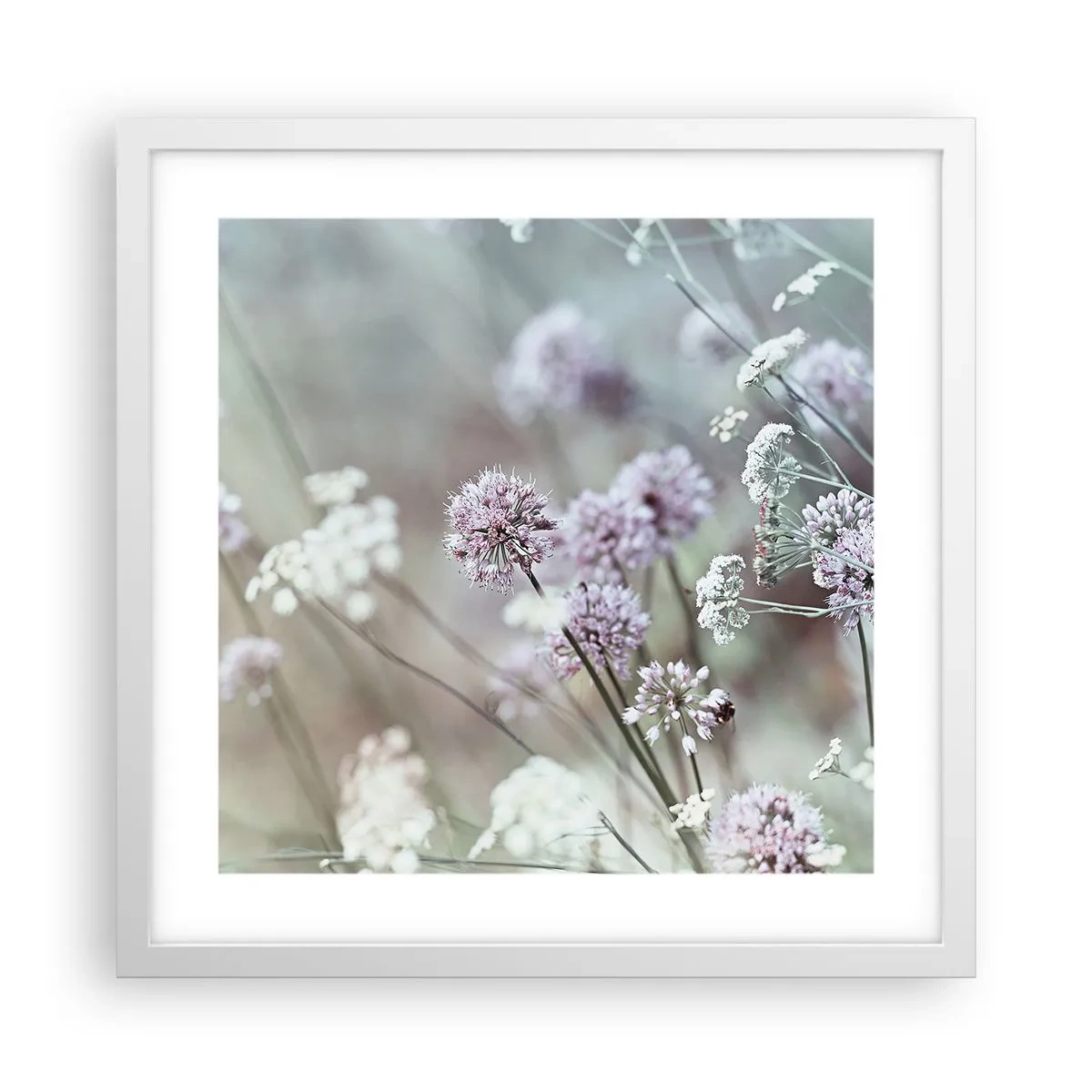 Poster in white frmae - Sweet Filigrees of Herbs - 40x40 cm