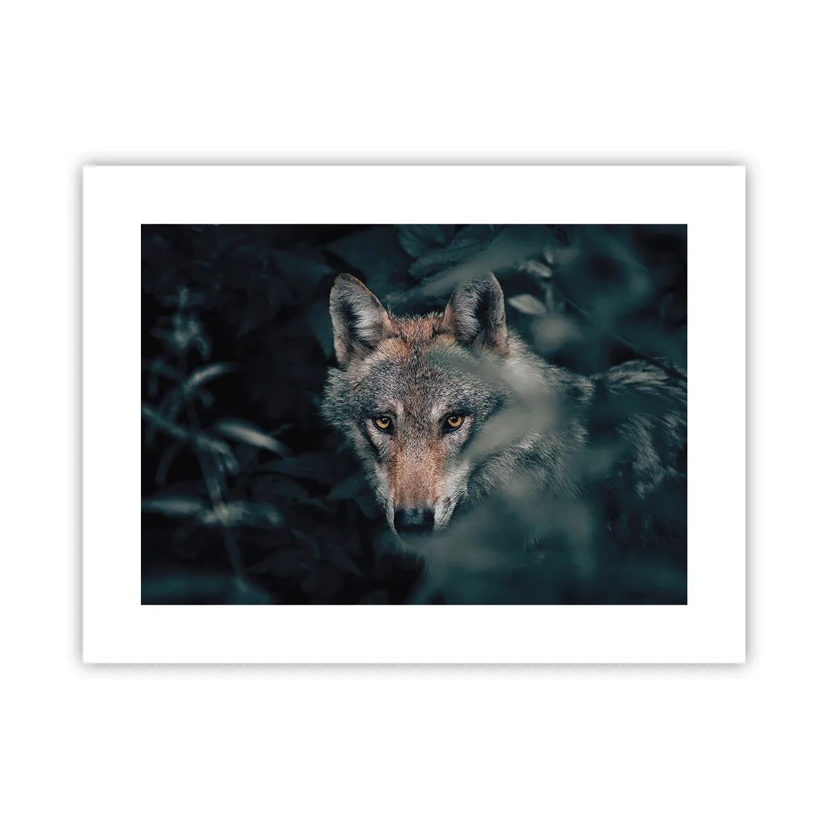 Poster - Hunter - 40x30 cm