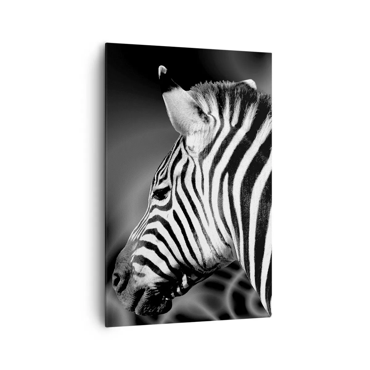 Canvas picture - White Is White, and Black Is Black - 80x120 cm