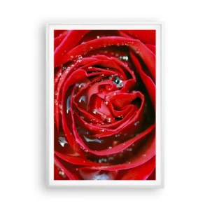 Poster in white frmae - In Dew Drops - 70x100 cm