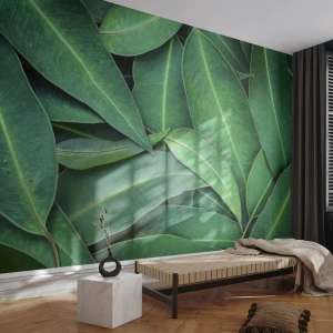 Self-Adhesive Photo Wallpaper Deluxe Sticker - Juicy and Fresh - Leaves, Eucalyptus, Nature - 250x175 cm