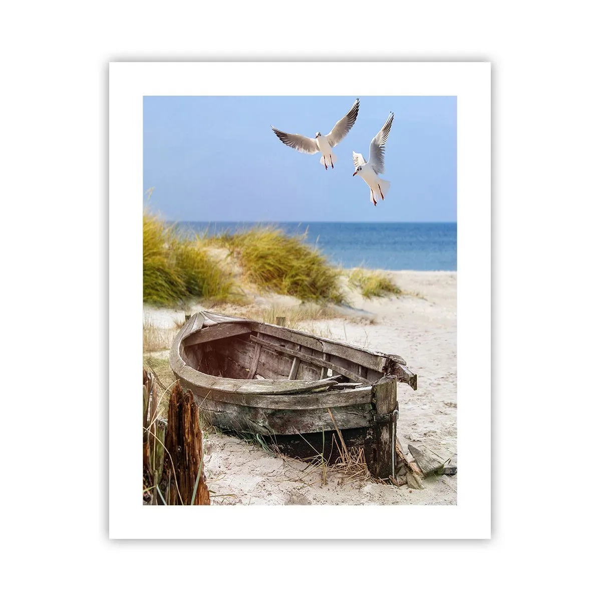 Poster - Bathed in the Sun - 40x50 cm