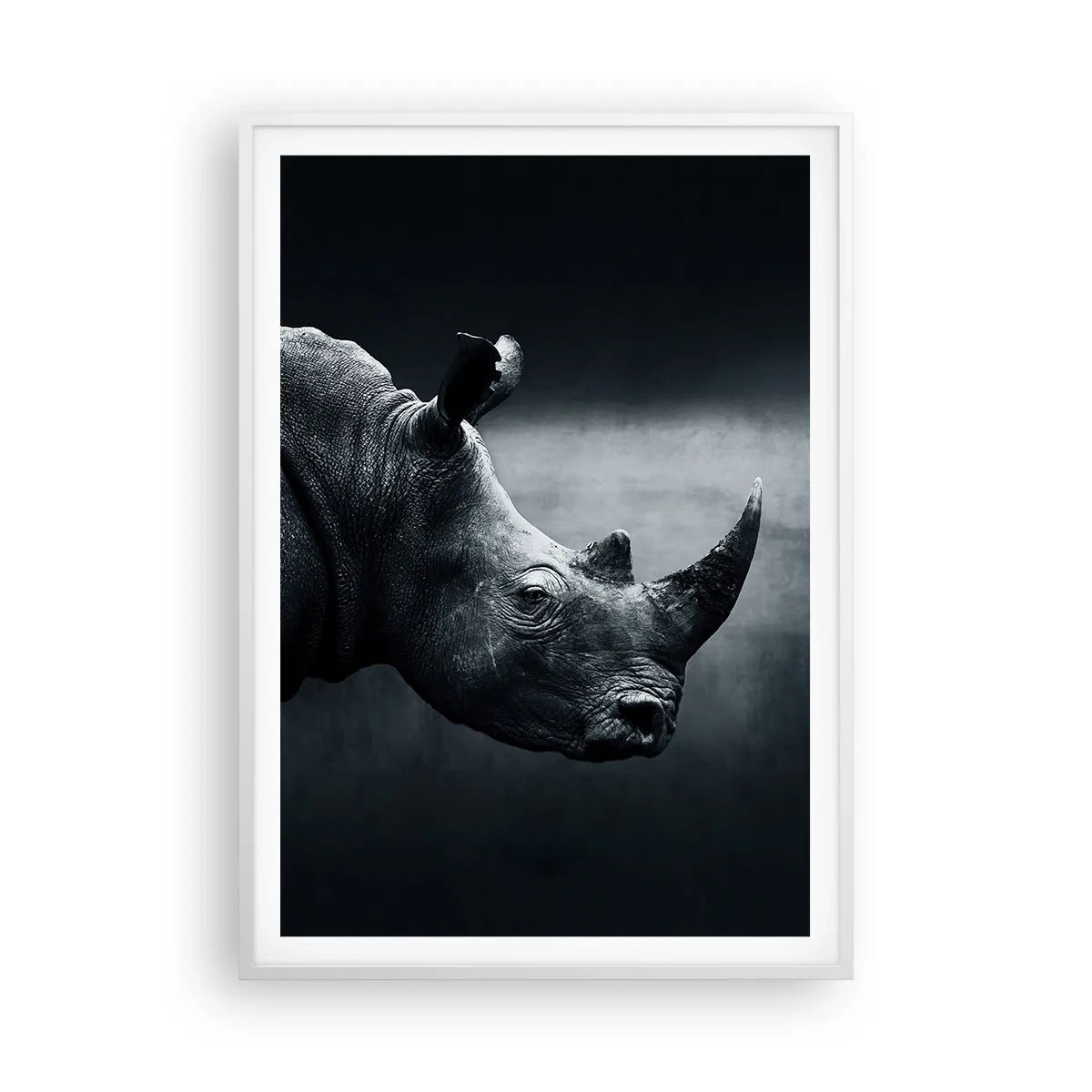 Poster in white frmae - Right Profile - 70x100 cm