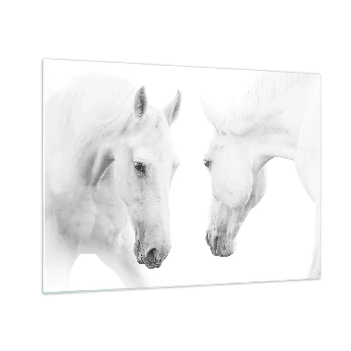 Glass picture - Two white horses facing each other against a light background - 70x50cm - Is this friendship…? - Modern wall decoration for the living room and bedroom ARTTOR