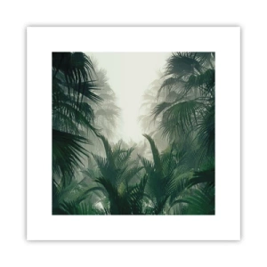 Poster - Tropical Secret - 30x30 cm