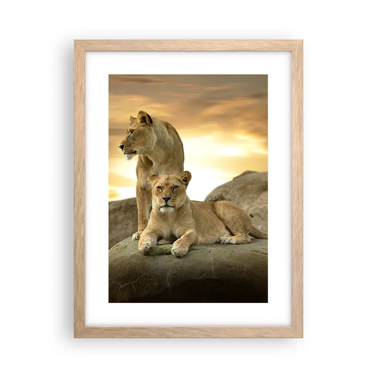 Poster in light oak frame - Royal Majesty - 30x40 cm