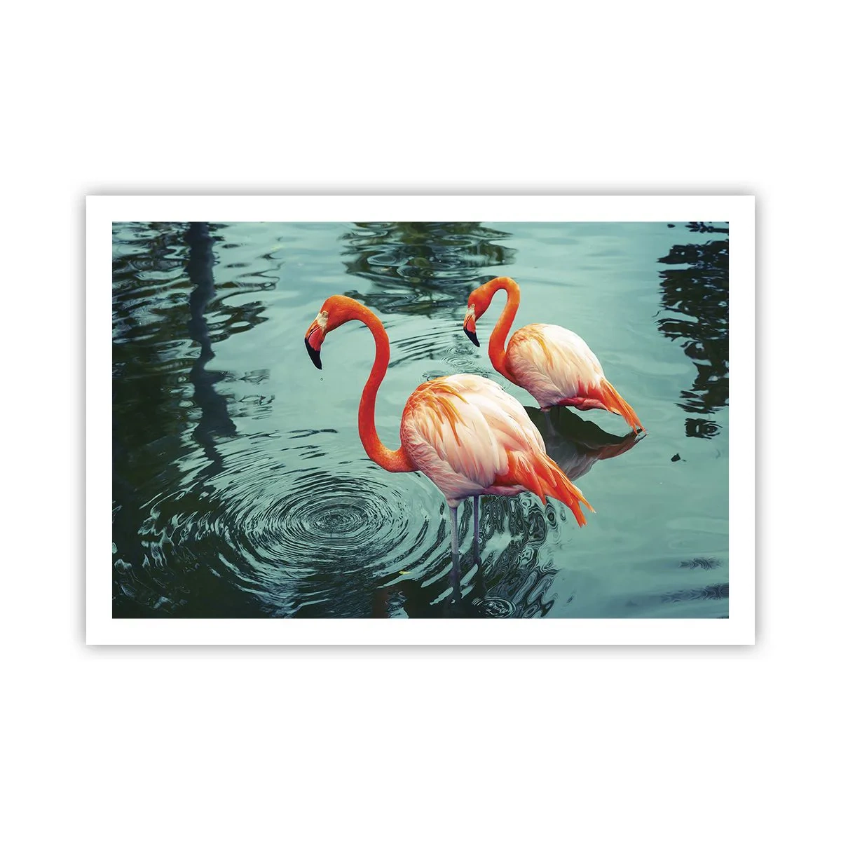 Poster - We Are En Vogue Now - 91x61 cm