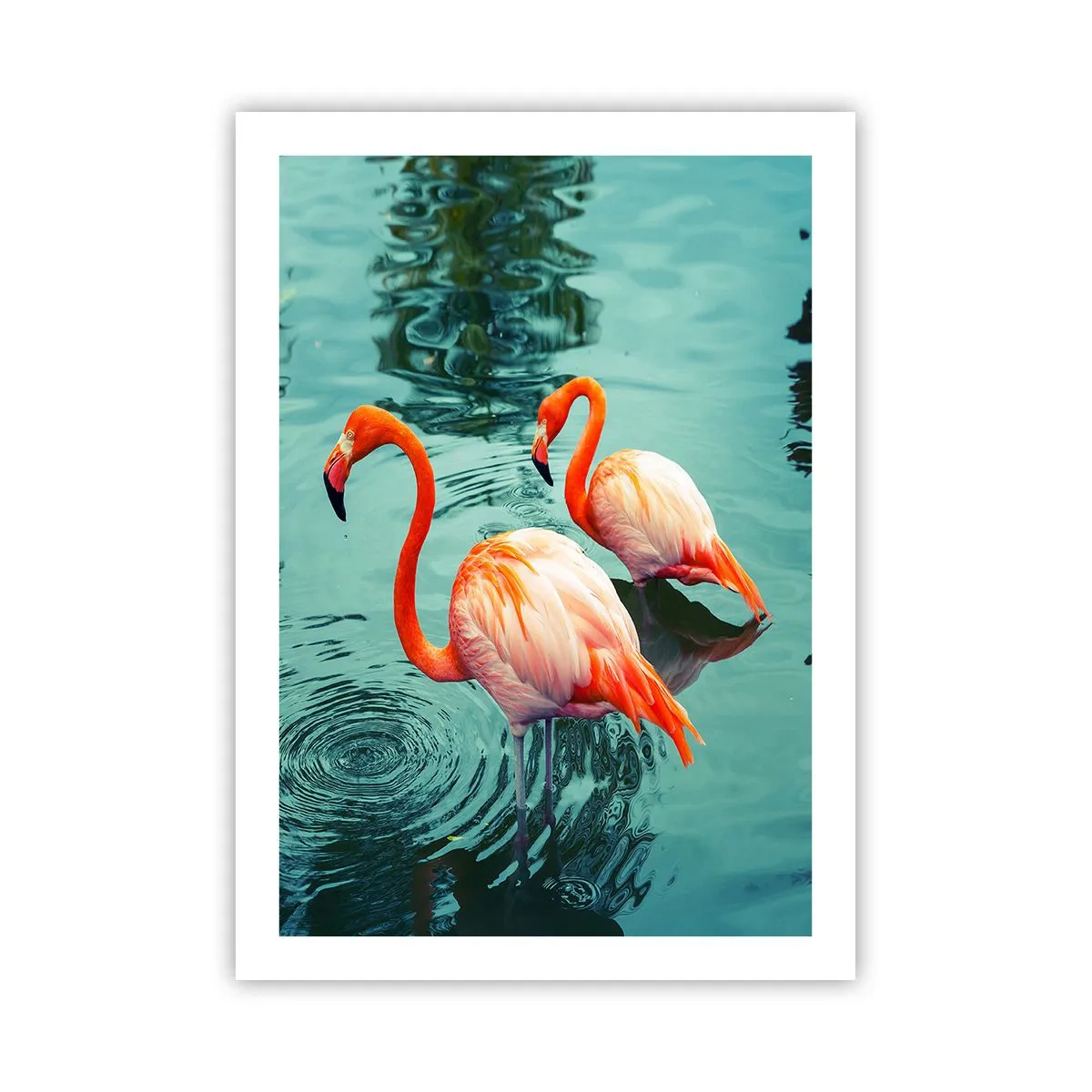 Poster - We Are En Vogue Now - 50x70 cm