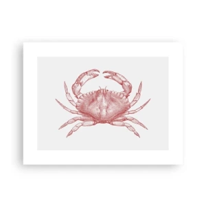 Poster - Crab Like No Other - 40x30 cm