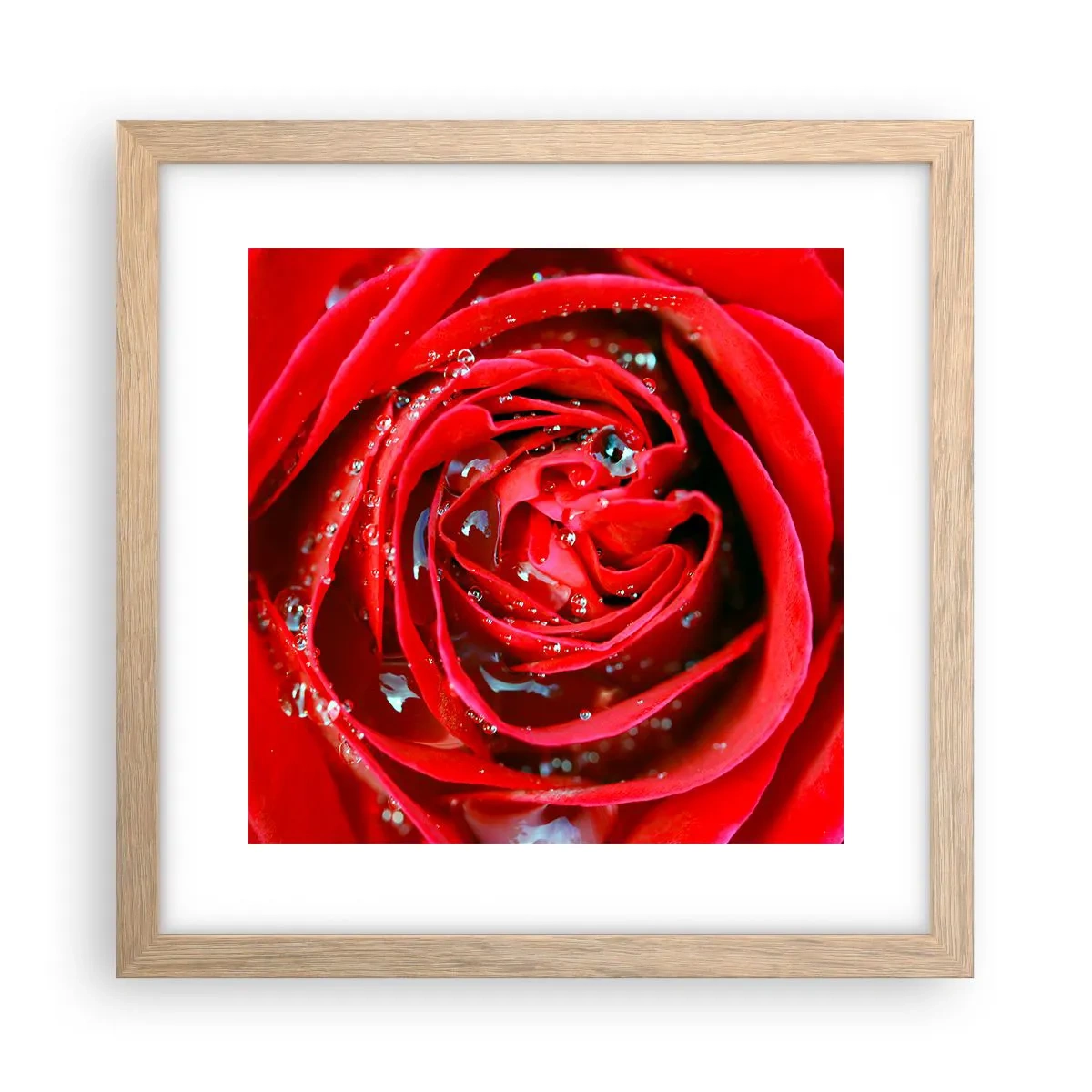 Poster in light oak frame - In Dew Drops - 30x30 cm