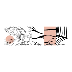 Photo Wallpaper Sample Standard Eco - In a Web of Twigs - Abstraction, Graphics, Design - 100x30 cm