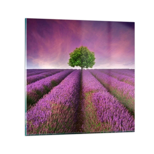 Glass picture - In the Fields of Lavender - 30x30 cm