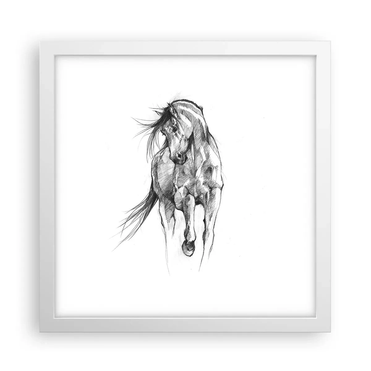 Poster in white frmae - In a Graceful Trot - 30x30 cm