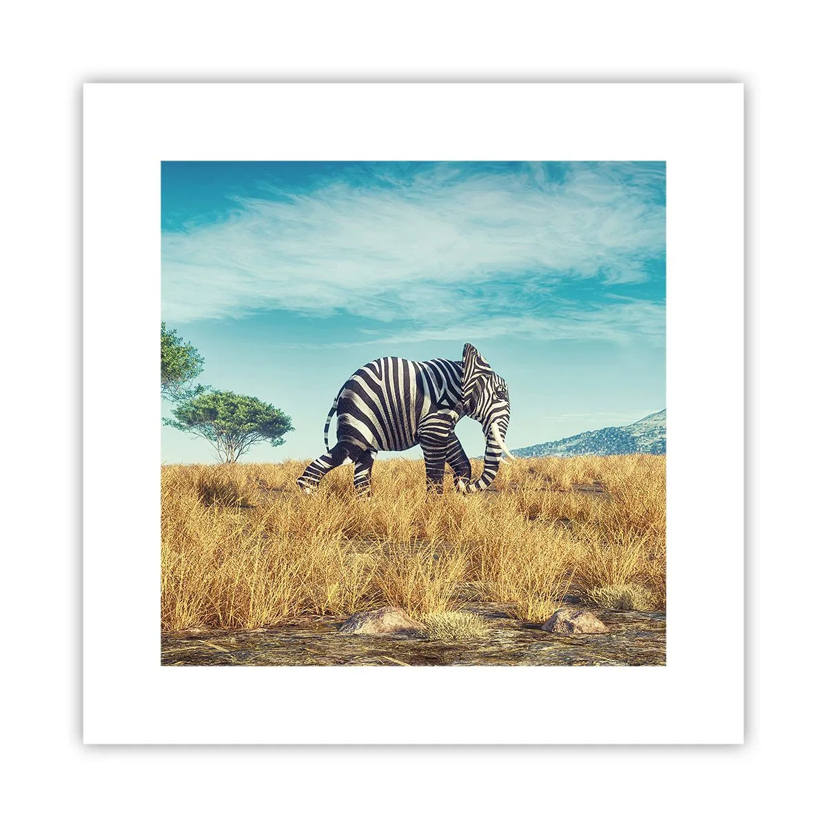 Poster - Greyness Is Not In Fashion - 30x30 cm