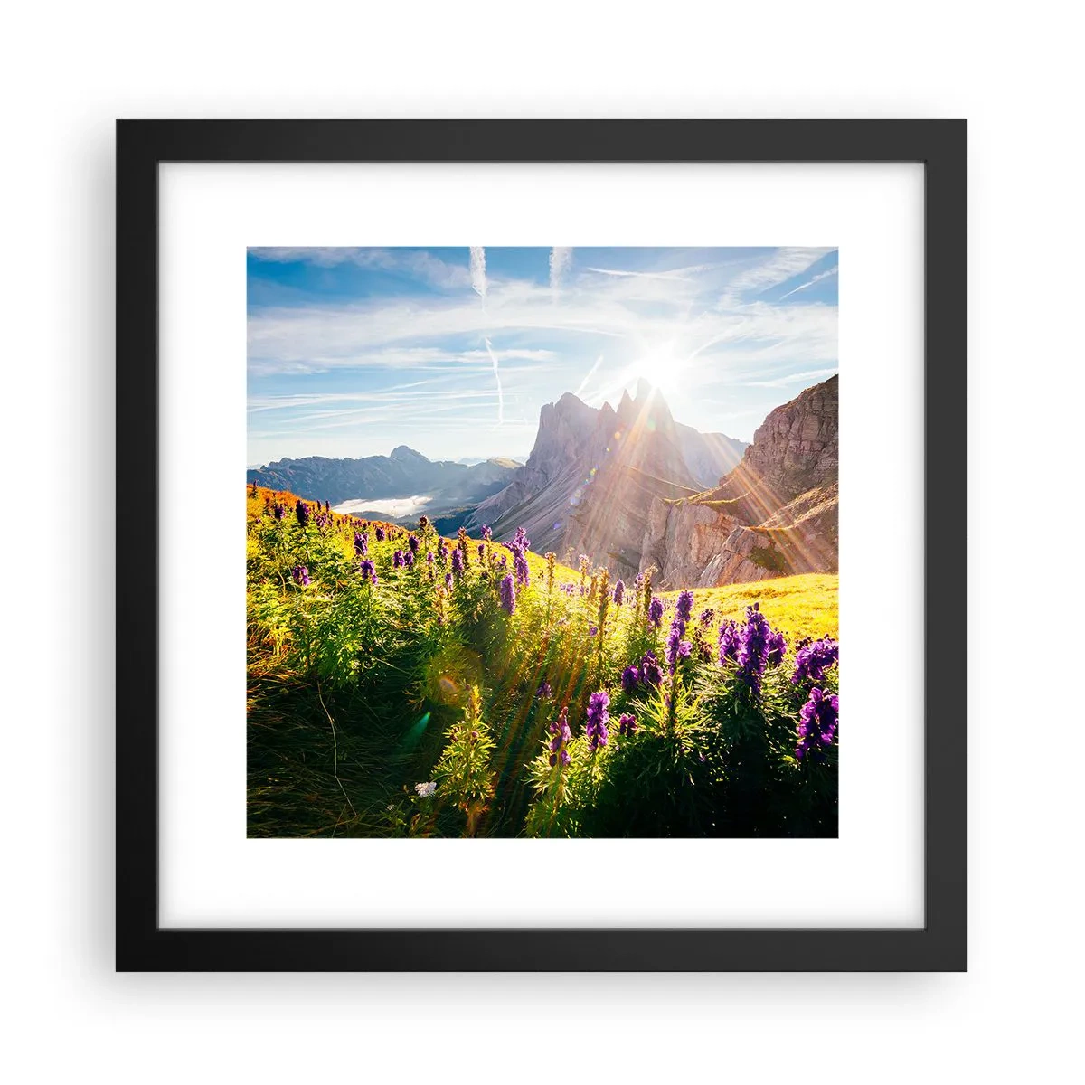 Poster in black frame - Secret Life of Herbs - 30x30 cm