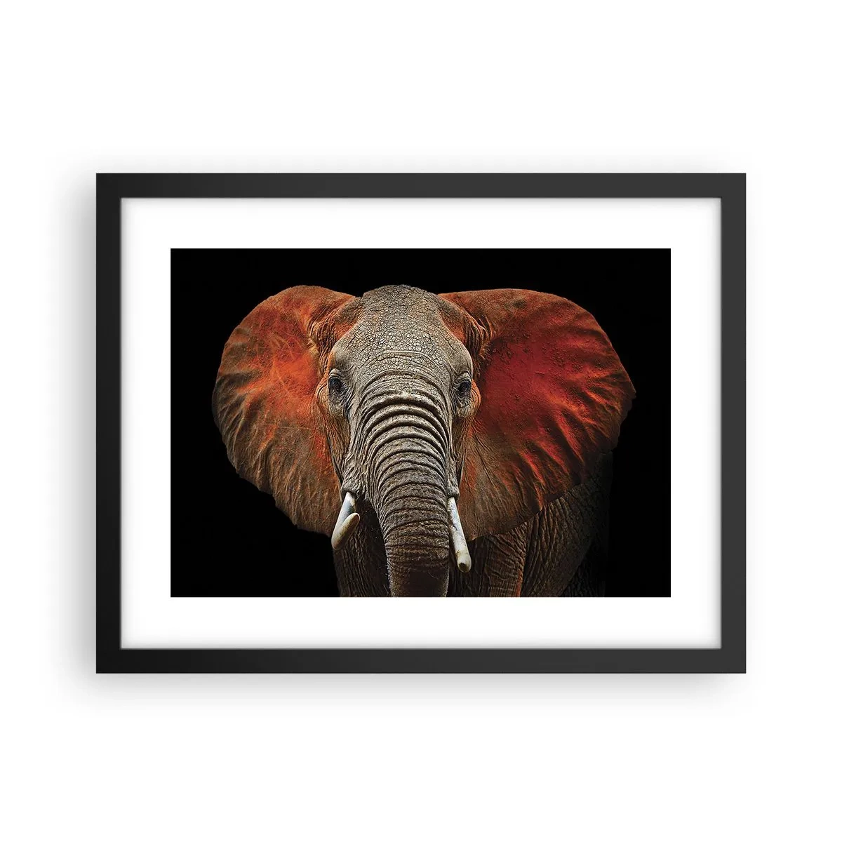 Poster in black frame - I am Wild, and You? - 40x30 cm