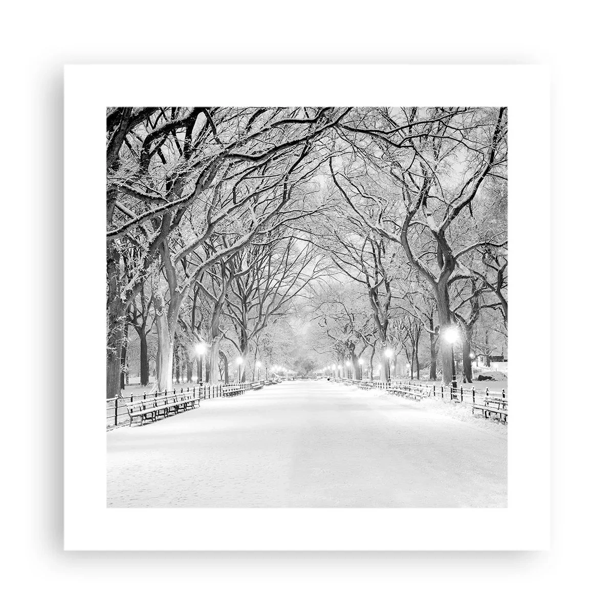 Poster - Four Seasons: Winter - 40x40 cm