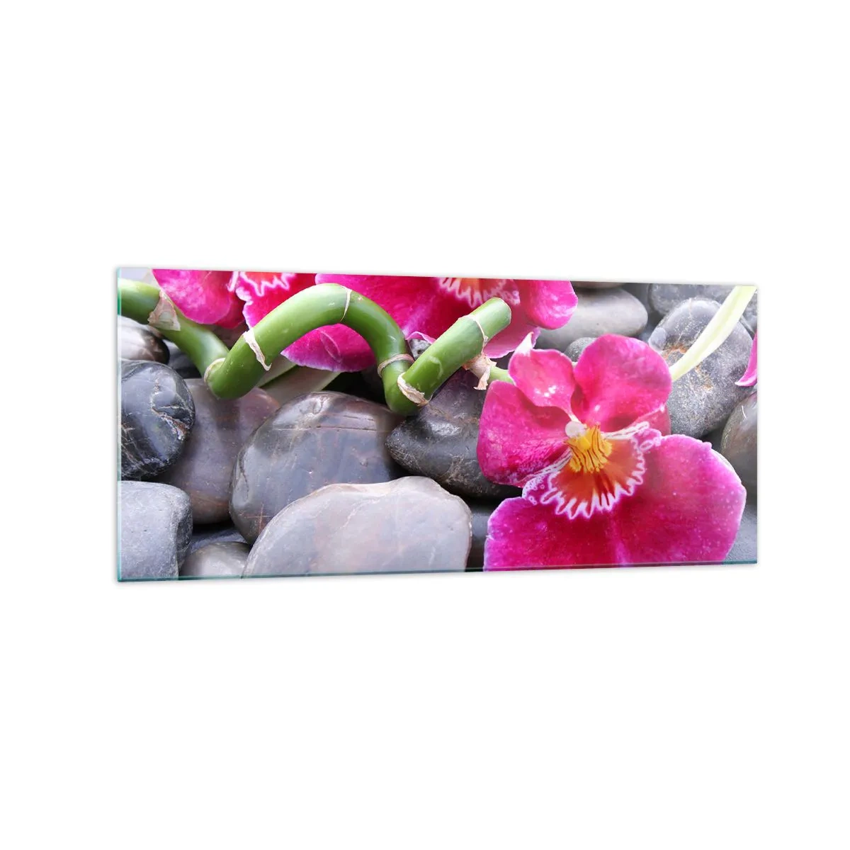 Glass picture - Coolness and Heat - 120x50 cm