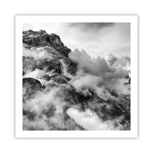 Poster - Beautiful and Cruel - 60x60 cm