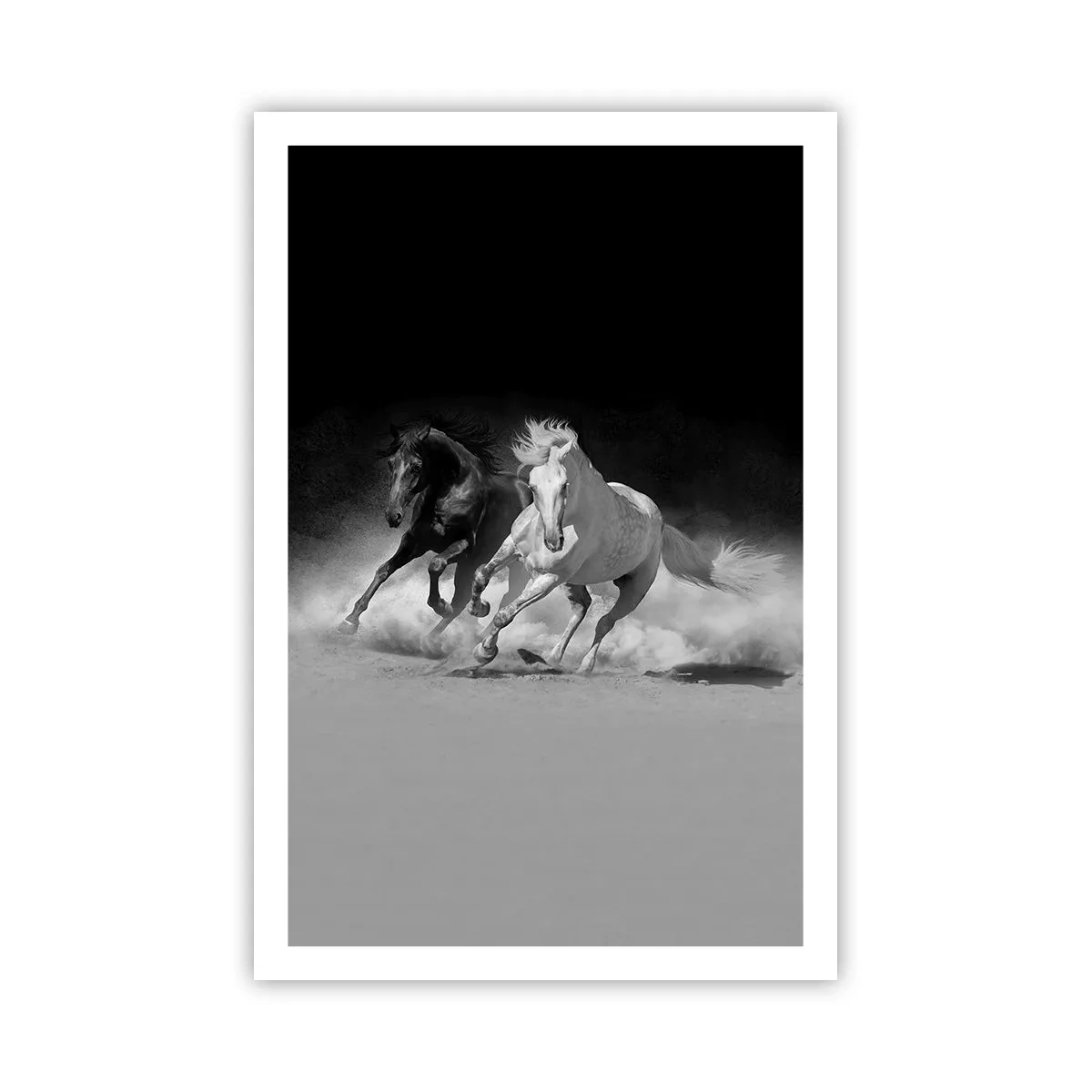 Poster - Gallop of Freedom - 61x91 cm