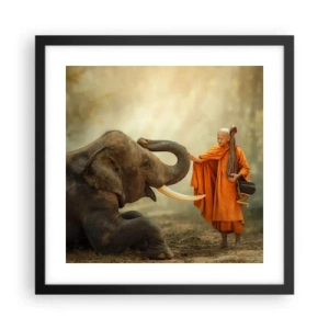 Poster in black frame - Unexpected Meeting - 40x40 cm