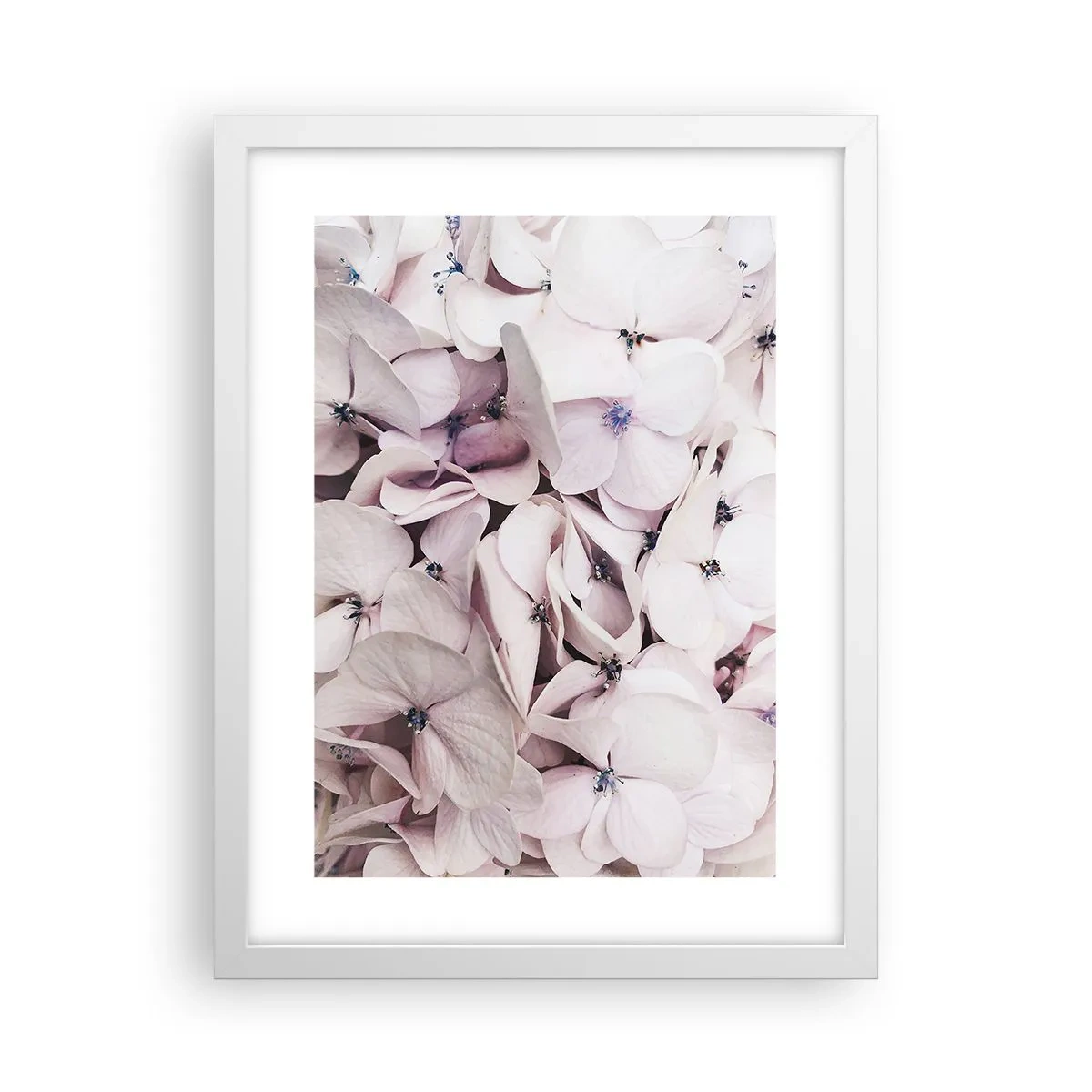 Poster in white frmae - In the Flood of Flowers - 30x40 cm